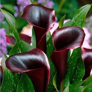 Positivity is free! Building people up doesn’t hurt you, it makes you stronger!